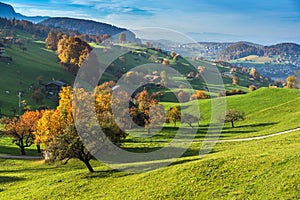 Green meadows and typical Switzerland village near town of Interlaken