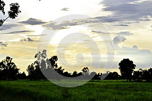 Green meadows, white and gray clouds, blue skies and orange sunset .