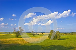 Green meadows and yellow fields photo