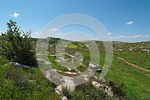 Green Mediterranean valley among hills in spring