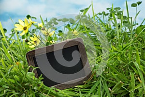 Green message in grass