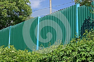 Green metal fence wall overgrown with vegetation and grass on a rural street