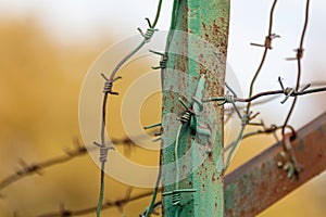 Green metal rusty fence with barbed wire