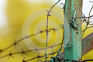 Green metal rusty fence with barbed wire