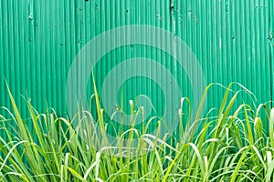 Green metal sheet