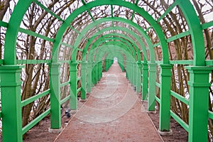 Green metal tunnel in garden, metal green frame