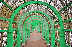 Green metal tunnel in garden, metal green frame