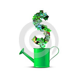 Green metal watering can with a sign dollar made from leaves. Isolated on a white background. Growth concept. Care