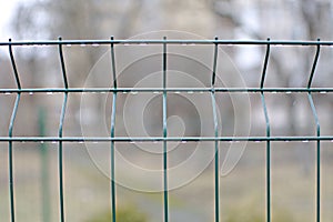 Green metal wire fence with hanging raindrops