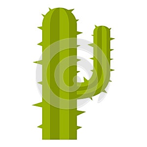 Green mexican cactus icon isolated