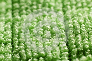 Green Microfibre Cloth Macro