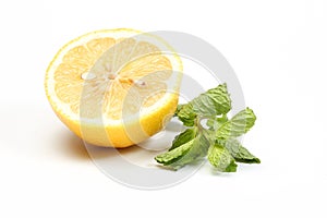 Green Mint Leaf Yellow Lemon