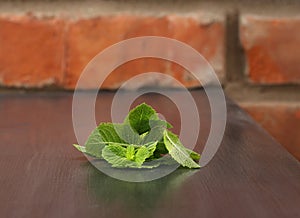 Green mint leaves on wooden table