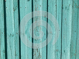 Green mint painted wood board texture and background. Green mint natural wooden background. Aged wood planks pattern