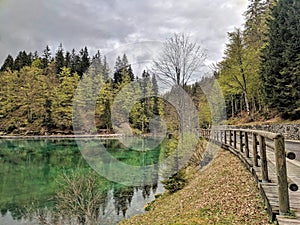 Green mirroring lake surrounded by conifer trees, lago ti Fusine, Italia