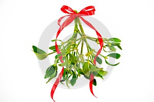 Green mistletoe with ribbon isolated on white background. Christmas concept