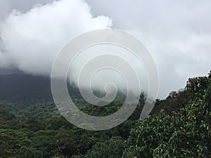 The green misty valleys of Talkaveri, Coorg photo