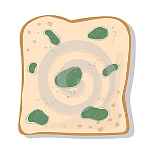 Mold on Bread Green