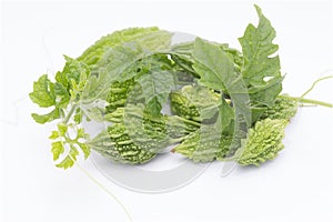 Green Momordica or karela with leaf isolate on white