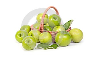 Green Monkey apple or jujubes in basket