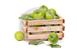 Green Monkey apple or jujubes in wooden crate