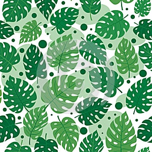 Green Monstera leaves seamless pattern background