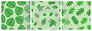 Green monstera, oak and maple leaves. Leaf seamless pattern set. Vector illustration. Scrapbook, gift wrapping paper and textiles