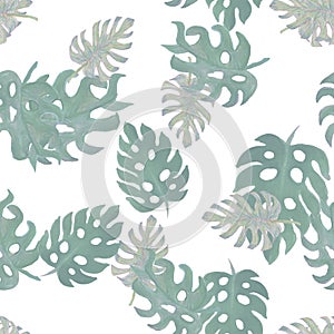 Green Monstera Painting. Brown Seamless Set. Gray Tropical Wallpaper. Pattern Foliage. Watercolor Garden. Floral Backdrop. Summer