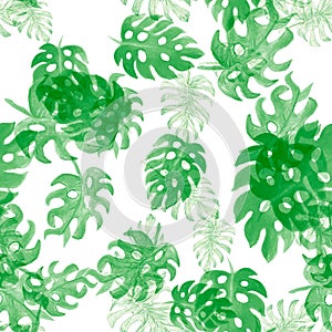 Green Monstera Painting. Natural Seamless Leaf. Pattern Illustration. Watercolor Texture. Tropical Decor. Floral Foliage. Summer W