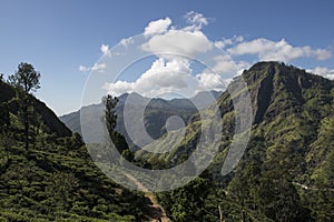 Green montains with tea plantations Ella, Sri Lanka.