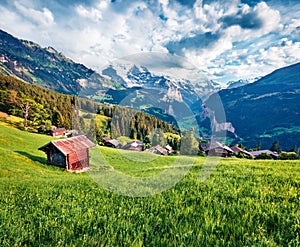 Verde manana escena de campo en suizo Alpes Bernés en de, Europa. emocionante verano para correr 