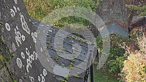 Green moss and algae on slate roof tiles of a residential building in England