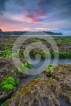 Green moss and choral reef with dramatic sky
