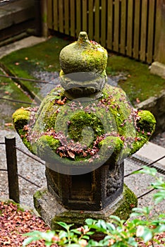 green moss cover Japanese outdoor stone lantern, in japanese temple, kyoto, japan