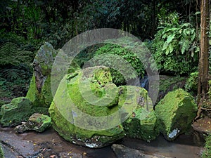 Green moss covered boulder rocks