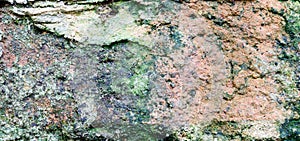 Green moss covered stone texture
