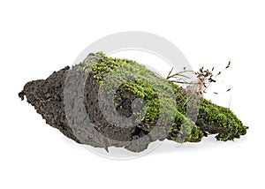 Green moss with grass on pile of soil, white background