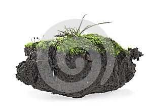 Green moss with grass on pile of soil, white background