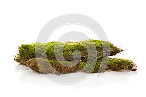 Green moss isolated on white background