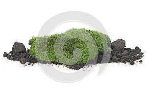 Green moss and pile dirt isolated on white background. Green moss on soil. Forest moss