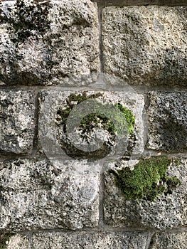 Green moss on the stone blocks