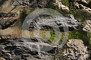 Green moss stone wall