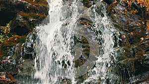 Green moss stones in Carpathian mountains. Wonderful mountain waterfall cascade falls near the large grey rocks