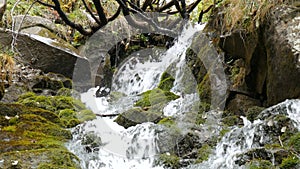 Green moss stones in Carpathian mountains. Wonderful mountain waterfall cascade falls near the large grey rocks