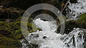 Green moss stones in Carpathian mountains. Wonderful mountain waterfall cascade falls near the large grey rocks