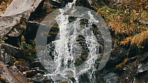 Green moss stones in Carpathian mountains. Wonderful mountain waterfall cascade falls near the large grey rocks