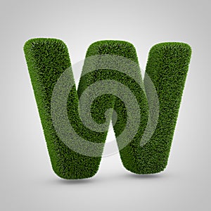 Green moss uppercase letter W isolated on white background