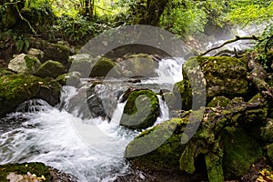 Green moss waterfall cascades with fog