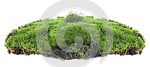 Green mossy hill with grass isolated on white background