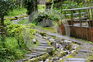 Green mossy path on nature landscape